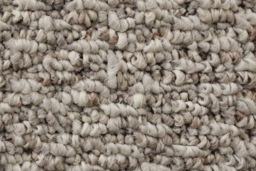 Carpet